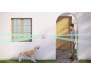 Ajax Беспроводной уличный датчик движения "штора" DualCurtain Outdoor белый