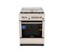 ARDESTO FSC-F6060PS