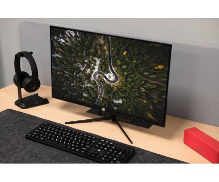 2E Монiтор LCD 23.8" D2421B