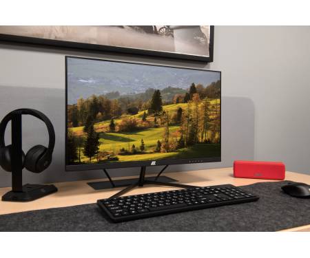 2E Монiтор LCD 23.8" D2421B