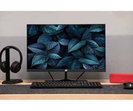 2E Монiтор LCD 23.8" D2421B