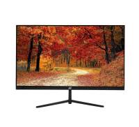 2E Монiтор LCD 23.8" D2421B