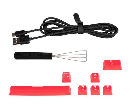 2E Gaming Клавиатура игровая KG370 RGB 68key Gateron Blue Switch USB Black Ukr