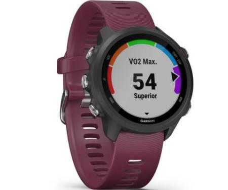 Смарт-годинник Garmin Forerunner 245 Black/Wine Red (010-02120-4B/11/45)