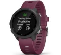Смарт-годинник Garmin Forerunner 245 Black/Wine Red (010-02120-4B/11/45)