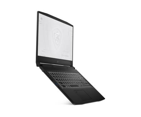 Ноутбук MSI WF66 11UI (WF6611UI-268US) 2