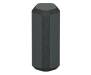 Колонка Sony SRS-XE300 Black (SRSXE300B.RU2) 1