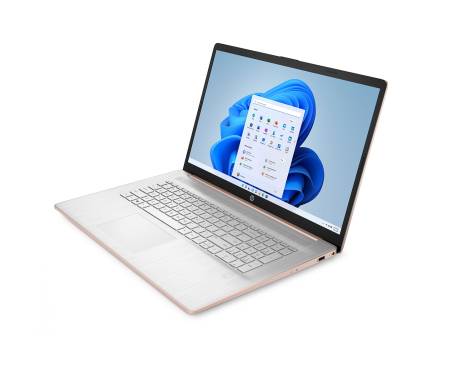 Ноутбук HP 17-cp0052ca Rose Gold (2L7U9UA) 3