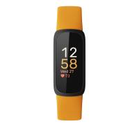 Fitbit 260493