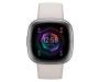 Смарт-часы Fitbit Sense 2 Lunar White / Platinum Aluminum 1