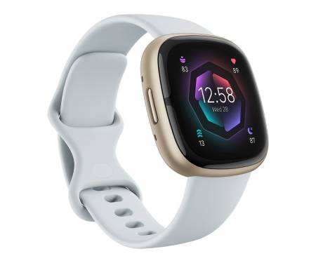 Смарт-часы Fitbit Sense 2 Blue Mist / Soft Gold Aluminum (FB521GLBM) 2