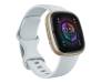 Смарт-часы Fitbit Sense 2 Blue Mist / Soft Gold Aluminum (FB521GLBM) 2