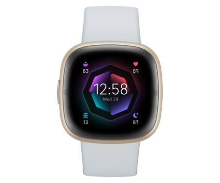Смарт-часы Fitbit Sense 2 Blue Mist / Soft Gold Aluminum (FB521GLBM) 1