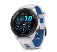 Garmin 260650