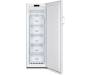 Gorenje Морозильная камера FN4171CW