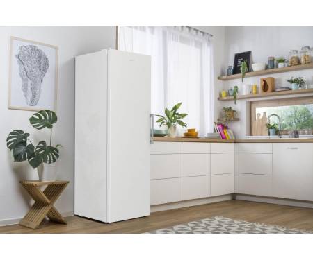 Gorenje Морозильная камера А++, NF, инвертор FNP619EEW5L