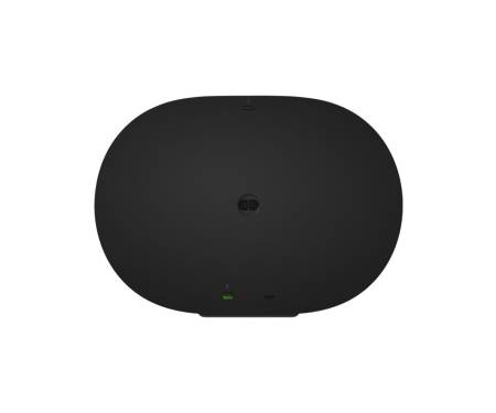 Смарт-колонка Sonos Era 300 Black (E30G1EU1BLK)