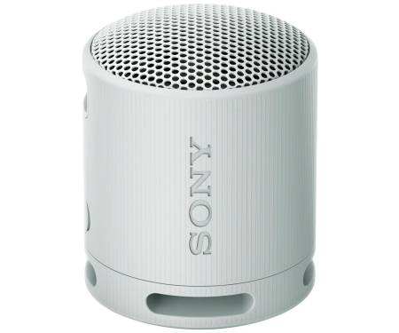 Беспроводная колонка Sony SRS-XB100/H