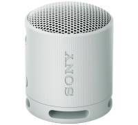 Беспроводная колонка Sony SRS-XB100/H