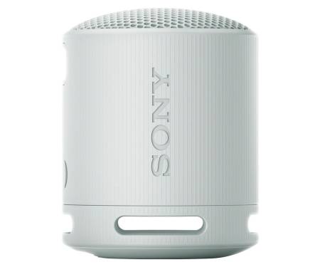 Беспроводная колонка Sony SRS-XB100/H