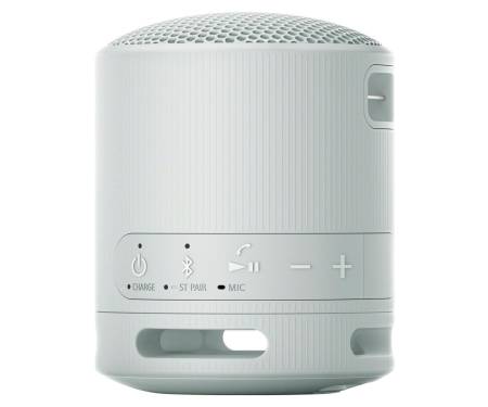 Беспроводная колонка Sony SRS-XB100/H