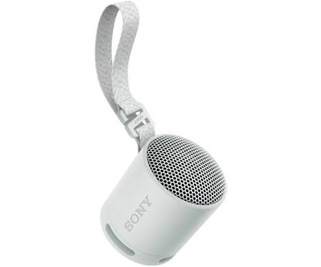 Беспроводная колонка Sony SRS-XB100/H
