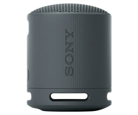 Беспроводная колонка Sony SRS-XB100/B with Case Bundle 3