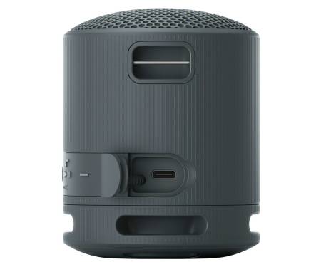 Беспроводная колонка Sony SRS-XB100/B with Case Bundle 5