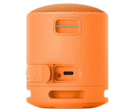 Бездротова колонка Sony SRS-XB100/D with Case Bundle 5