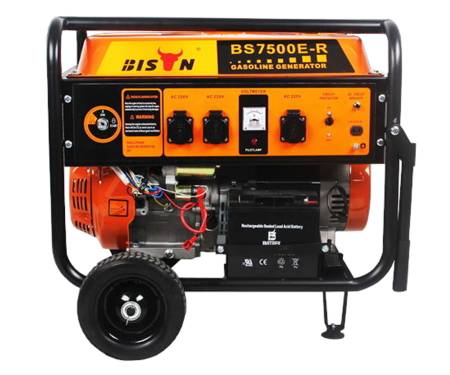 Генератор бензиновий Bison BS7500E