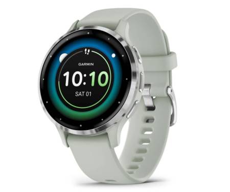 Смарт-часы Garmin Venu 3S Silver S. Steel Bezel w. Sage Gray Case and S. Band (010-02785-01)