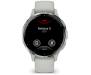 Смарт-часы Garmin Venu 3S Silver S. Steel Bezel w. Sage Gray Case and S. Band (010-02785-01)