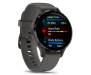 Смарт-часы Garmin Venu 3S Slate S. Steel Bezel w. Pebble Gray Case and S. Band (010-02785-00)