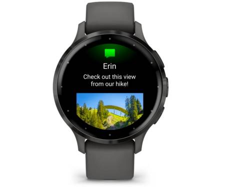 Смарт-часы Garmin Venu 3S Slate S. Steel Bezel w. Pebble Gray Case and S. Band (010-02785-00)