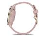 Смарт-часы Garmin Venu 3S Soft Gold S. Steel Bezel w. Dust Rose Case and S. Band (010-02785-03)