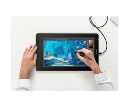Планшет-монітор Huion Kamvas RDS-160 (RDS-160)