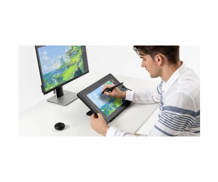 Планшет-монітор Huion Kamvas RDS-160 (RDS-160)