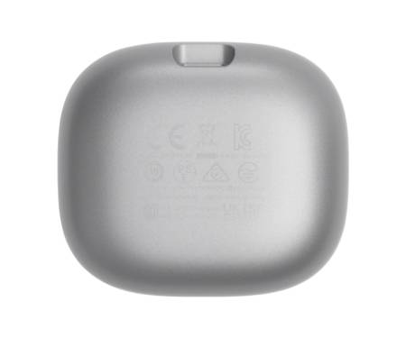 Навушники JBL Live Flex Silver (JBLLIVEFLEXSVR)