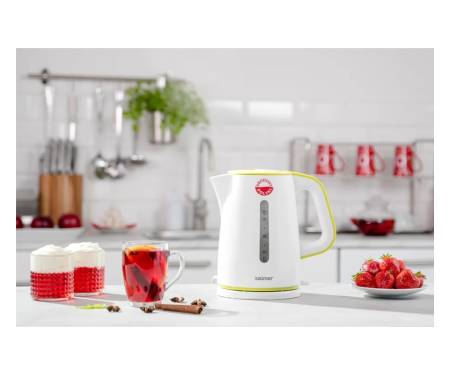 Електрочайник Zelmer ZCK7620G