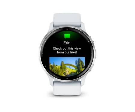 Смарт-часы Garmin Venu 3 Slate S. Steel Bezel w. Black Case and S. Band (010-02784-00)