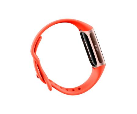 Смарт-годинник Fitbit Charge 6 Coral / Champagne Gold Aluminum (GA05184-GB)