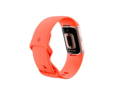Смарт-годинник Fitbit Charge 6 Coral / Champagne Gold Aluminum (GA05184-GB)