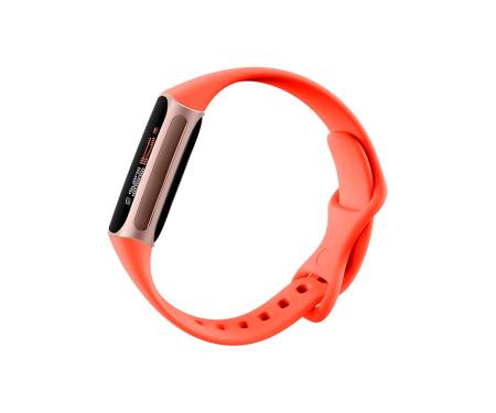 Смарт-годинник Fitbit Charge 6 Coral / Champagne Gold Aluminum (GA05184-GB)