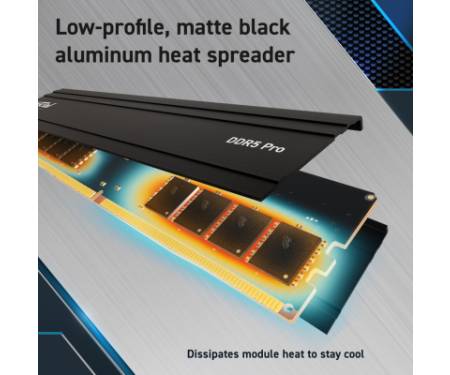 Модуль пам'яті для комп'ютера DDR5 32GB (2x16GB) 5600 MHz Pro Micron (CP2K16G56C46U5)