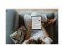 Електронна книга Pocketbook 1040D InkPad X PRO, Mist Grey (PB1040D-M-WW)