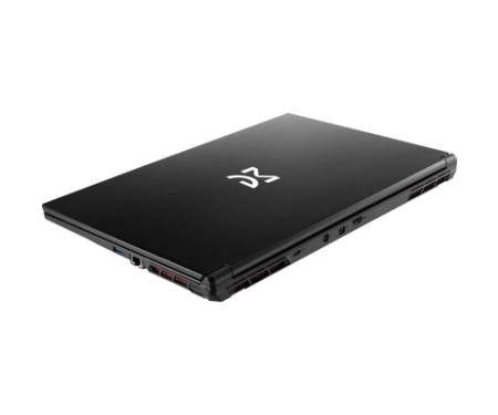 Ноутбук Dream Machines RG4070-17 (RG4070-17UA26)