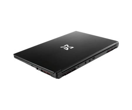 Ноутбук Dream Machines RG4070-17 (RG4070-17UA20)