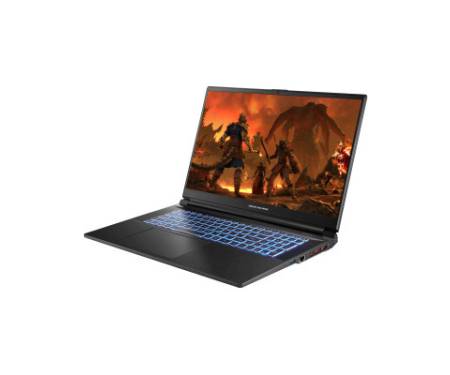 Ноутбук Dream Machines RG4060-17 (RG4060-17UA23)