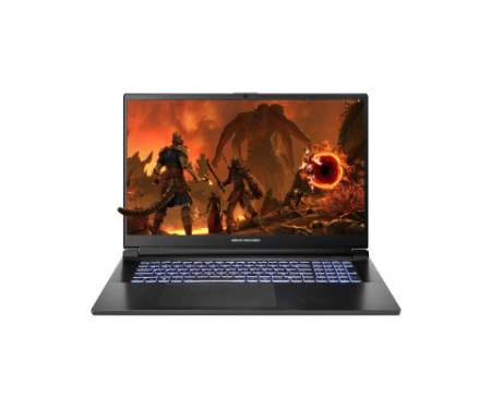 Ноутбук Dream Machines RG4060-17 (RG4060-17UA23)