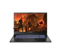 Ноутбук Dream Machines RG4060-17 (RG4060-17UA23)